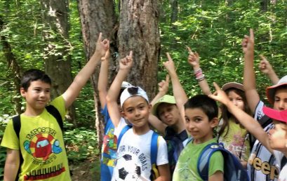 Лятна академия сред природата