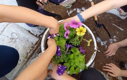 Мисли в зелено – посади цвете в саксия