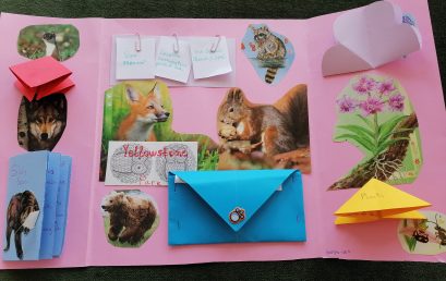 A nature reserve/a park – lapbooks