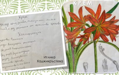 Съвместен урок на тема „Растенията около нас“