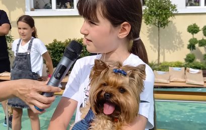 Моят домашен любимец