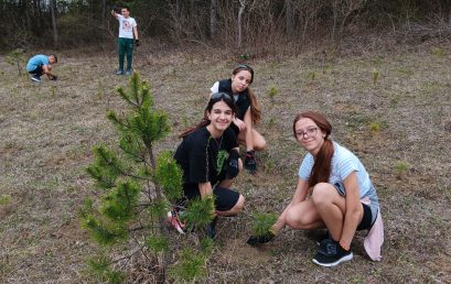 Прекрасен ден сред природата