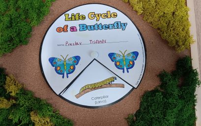 The Life Cycle of a Butterfly: Когато английският език срещне науката и творчеството