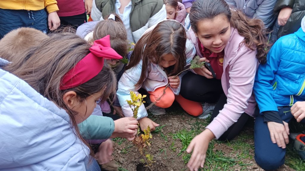 Празник с кауза