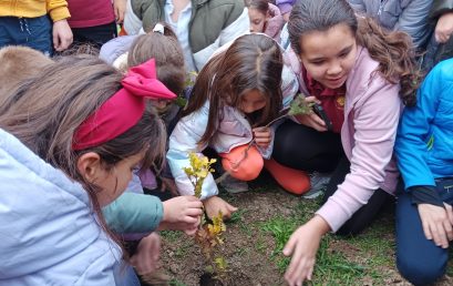 Празник с кауза